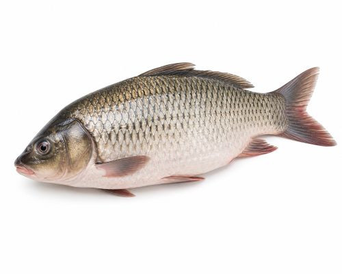 category